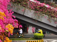 -清平中药材专业市场