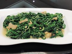 -皇城中餐厅·潮菜传承·私享宴客