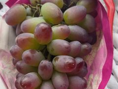 -马陆小张葡萄园农家乐