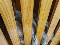 -艺味深尝(云锦路店)