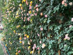 -西安电影制片厂