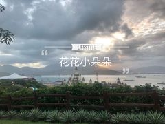 -芽庄珍珠岛游乐园