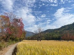 -塔川景区