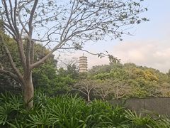 -深圳国际园林花卉博览园