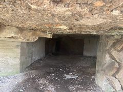 -上海佘山国家森林公园天马山园