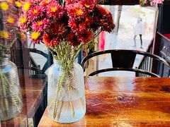 -蓝壁虎咖啡酒馆