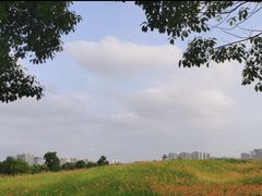 -洋湖国家湿地公园