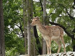 -秦皇岛野生动物园