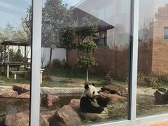 -苏州太湖国家湿地公园