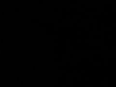 -TESLA 特斯拉(北京颐堤港体验店)