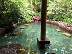 -苏州湾王焰温泉度假酒店