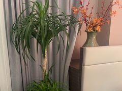-鸽子侯·家宴·平价海鲜(绿地店)
