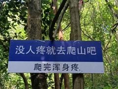 -紫金山山顶公园