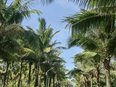 -牛排王糟粕醋火锅(海甸分店)