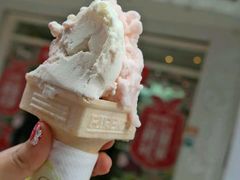 -柠檬车露(卖草地店)