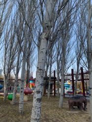 -大望京儿童游乐场