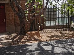 -国家植物园南园