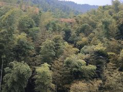 -蜀南竹海景区