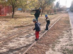 -永定河休闲森林公园