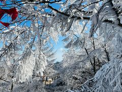 -崂山巨峰游览区