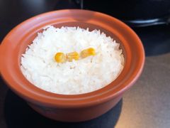 -凤凰湘语·湘粤鲜融(浦东旗舰店)