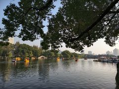 -月湖公园