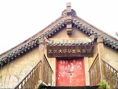 -武汉大学-樱园