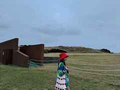 -涉地可支