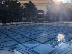 -拉斯维加斯永利酒店