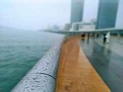 -演武大桥观景平台