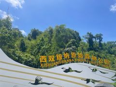 -西双版纳原始森林公园