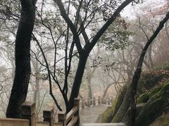 -灵岩山风景区