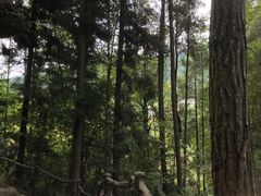 -梭布垭石林景区