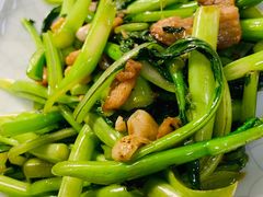 生炒菜心-阿政粤小馆(中央大街店)