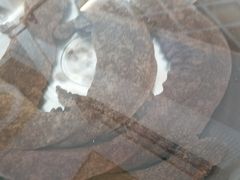 -四海蒸鲜蒸汽海鲜自助(北戴河店)
