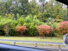 -老字号张道鸡火烧