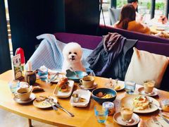 -JUJU韩式烤肉·干杯小酒馆