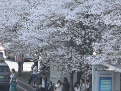 -东北特色菜馆(珞喻东路店)