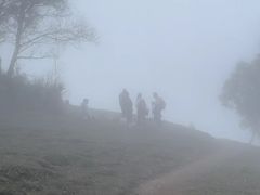 -灵山