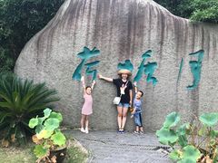 -荷塘月色湿地公园·向阳花洲