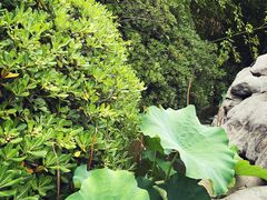 -河南省黄河迎宾馆