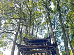 -青城山