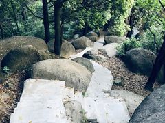 -火炉山森林公园