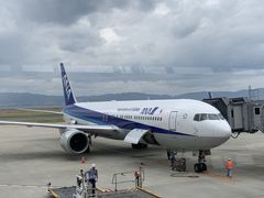 -全日本空输株式会社(上海办事处)