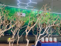 -昆明大悦城未来动物城(螺蛳湾中心店)