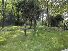 -绍兴鉴湖君澜大酒店