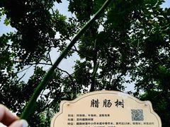 -火炉山森林公园