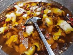 -雲蜀龙阁·金牌水煮鱼(方庄店)