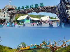 -大连森林动物园