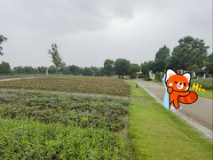 -同里国家湿地公园